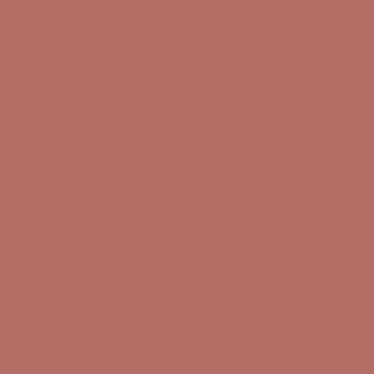 Red River Clay 2091-40 Benjamin Moore paint colour at Colour Land