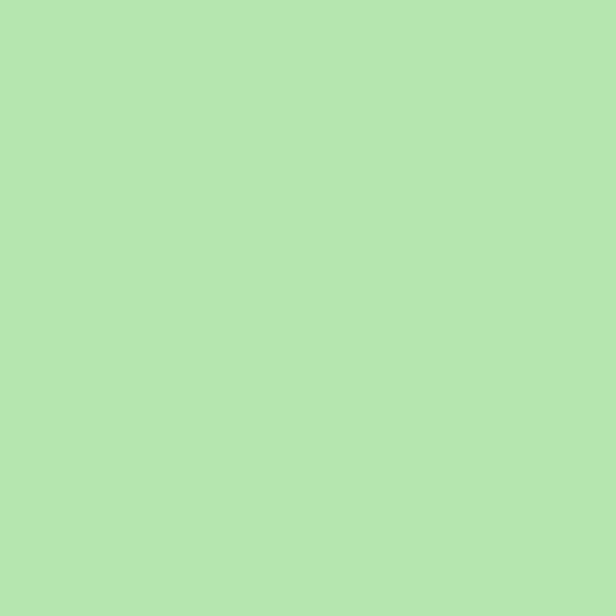 Early Spring Green 2032-50 Benjamin Moore paint colour at Colour Land