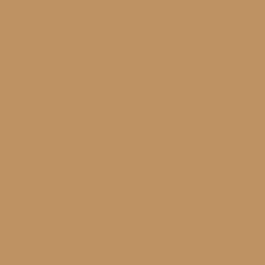 Desert Beach 1104 Benjamin Moore paint colour at Colour Land