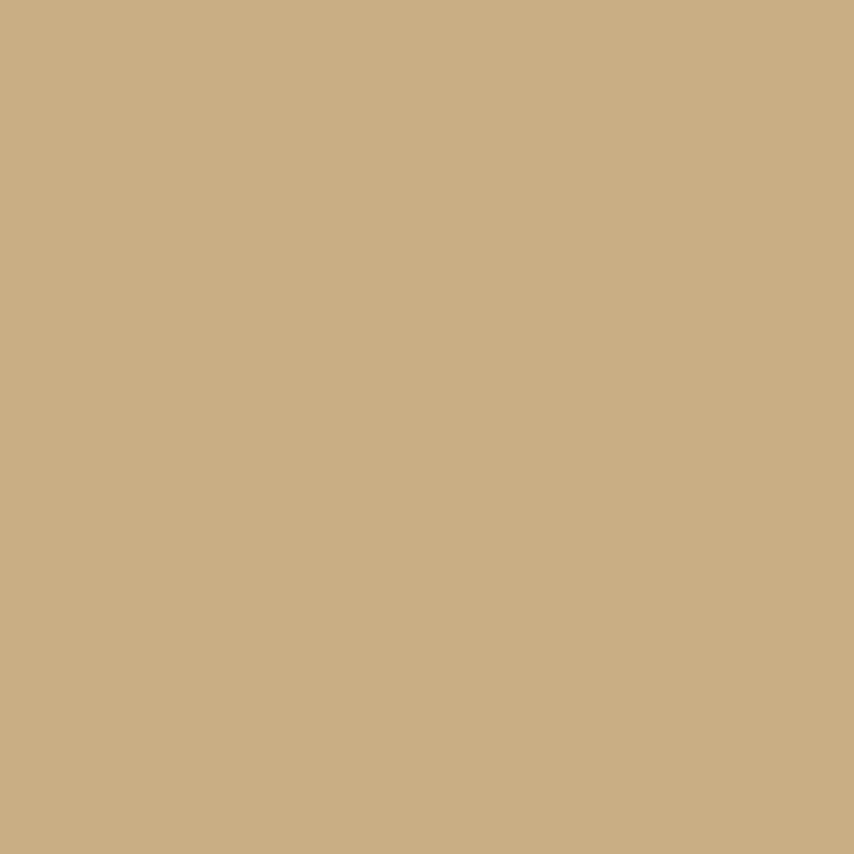 Bridgewater Tan 1096 Benjamin Moore paint colour at Colour Land