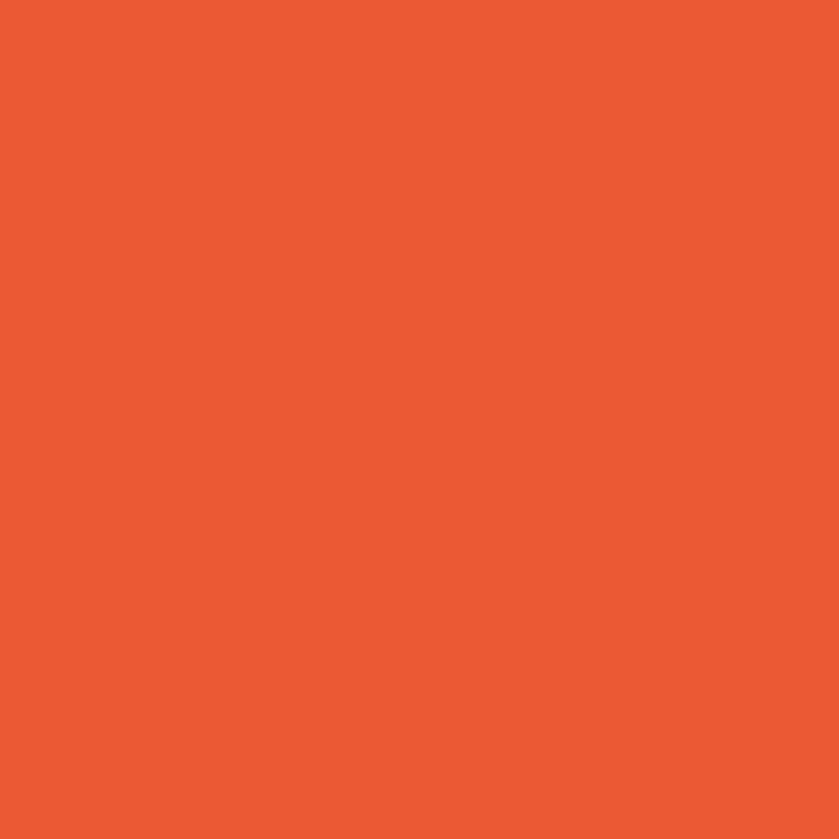 Orange Nectar 2013-20 Benjamin Moore paint colour at Colour Land