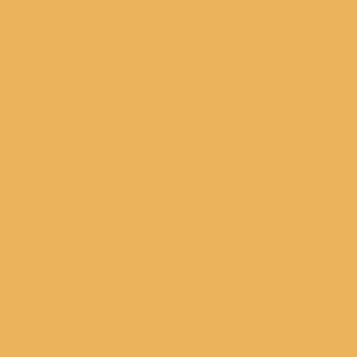 Pan for Gold 181 Benjamin Moore paint colour at Colour Land