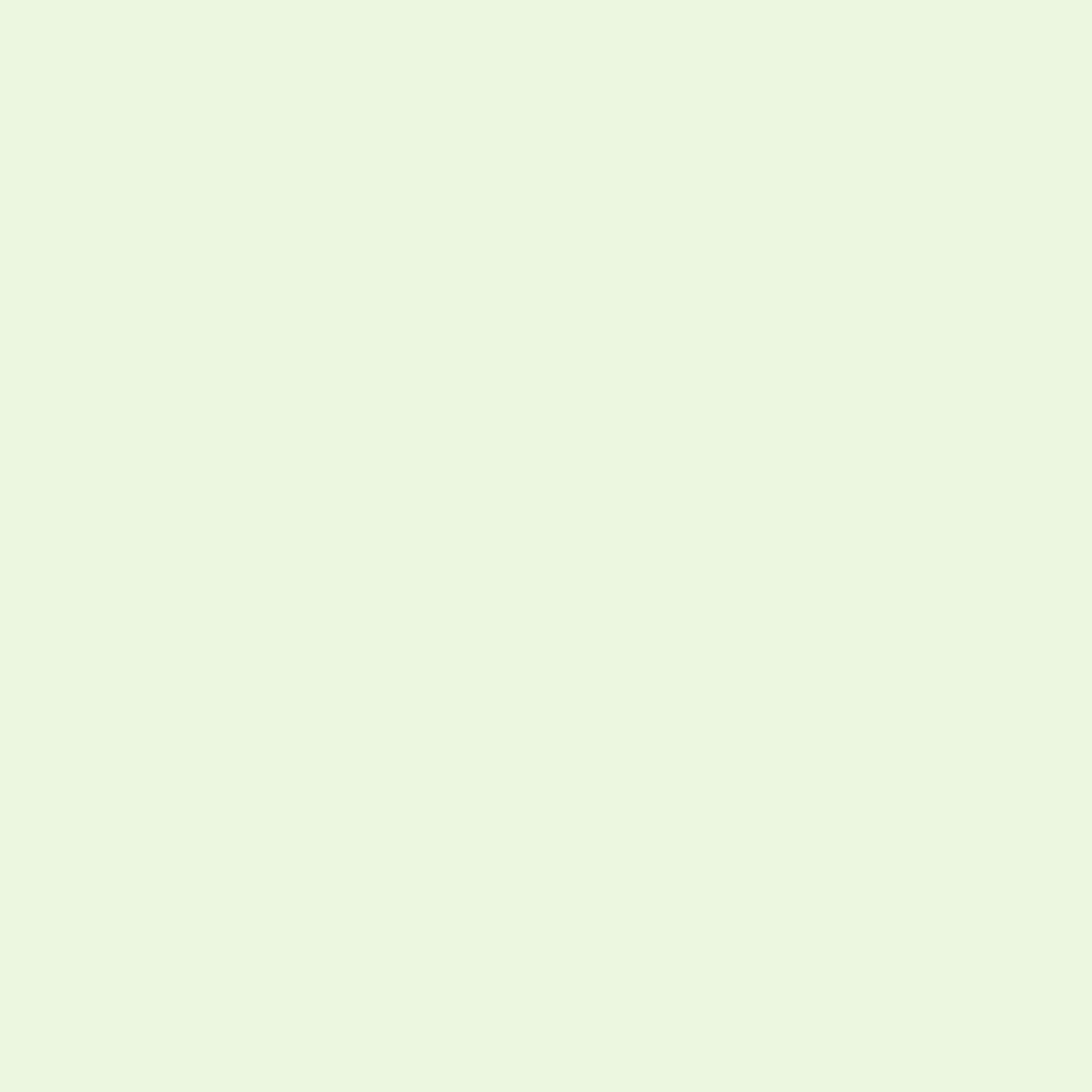 Iced Mint 2030-70 Benjamin Moore paint colour at Colour Land