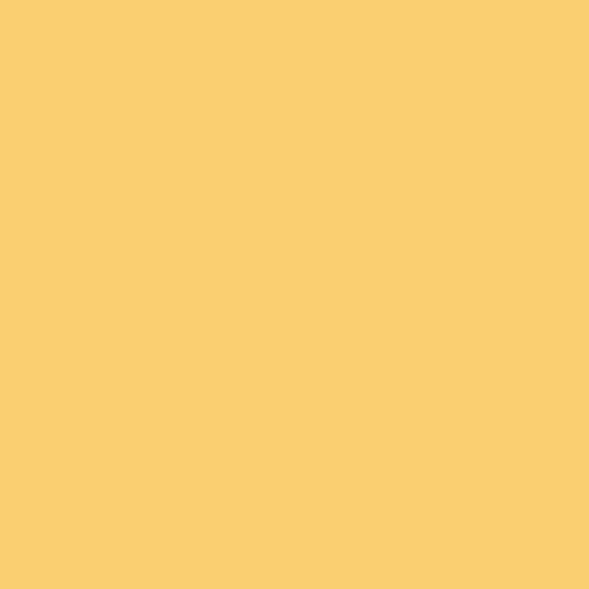 Golden Groves 313 Benjamin Moore paint colour at Colour Land